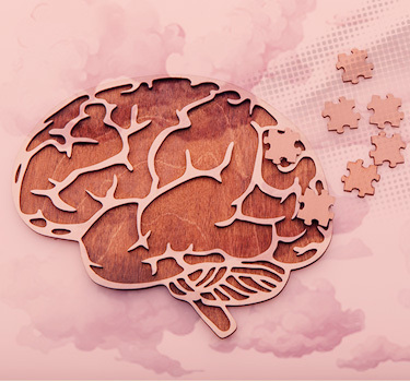 diagram of a brain with puzzle pieces inside