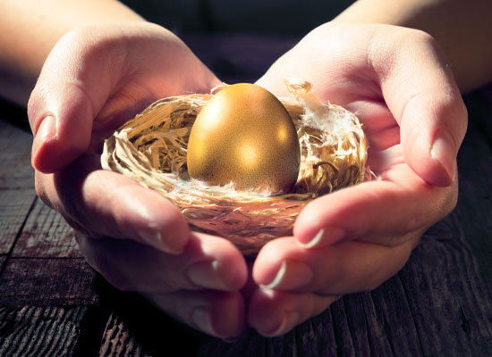 Grow your nest egg to ensure you have adequate funds when retire