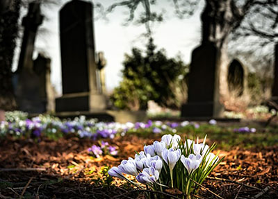 Flowers in graveyard