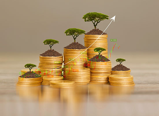 stacks of coins with trees growing on top