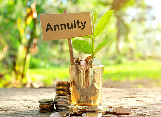 a jar filled with coins, a plant and a sign labeled annuity