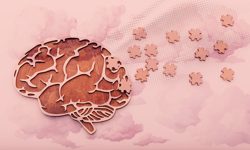 diagram of a brain with puzzle pieces inside