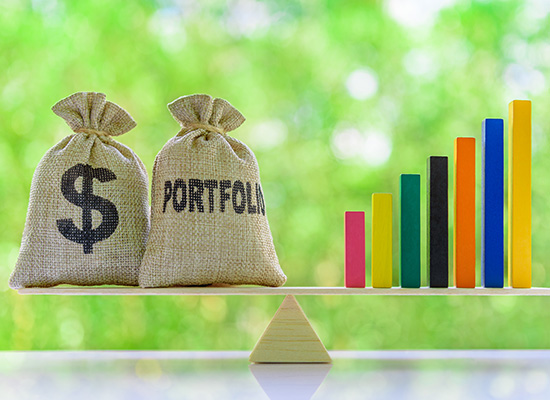 Two burlap bags labeled 'DOLLAR' and 'PORTFOLIO' on a balanced seesaw with colorful bars on one side, set against a natural green background, representing the concept of financial balance in investment portfolios.