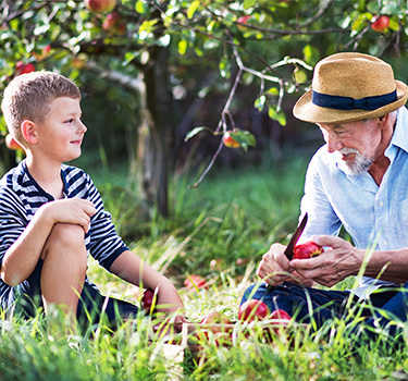 Man sitting in an apple orchid with with his grandson