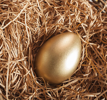 Golden egg in a nest next to a 10,000 dollar bundle of hundred dollar bills